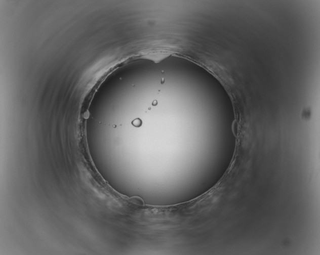 X0000116790338200912181259