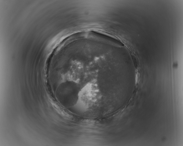 X0000116790339200912181259