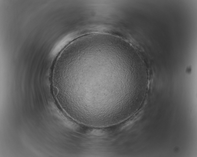X0000116790341200912181259