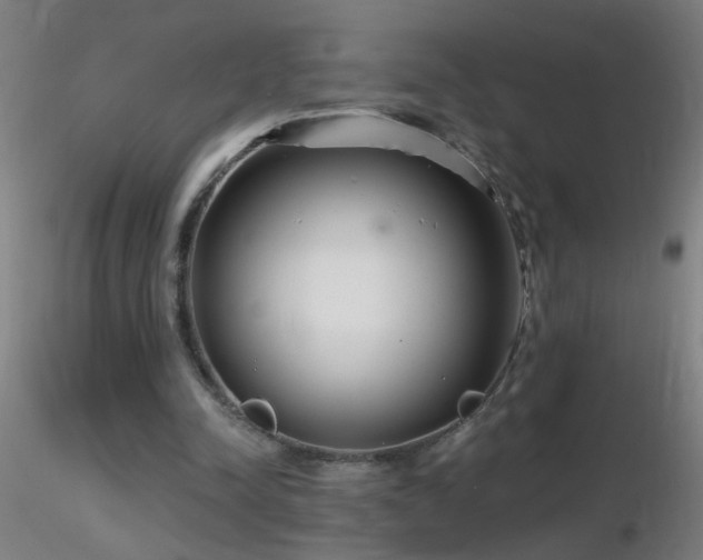 X0000116790342200912181259