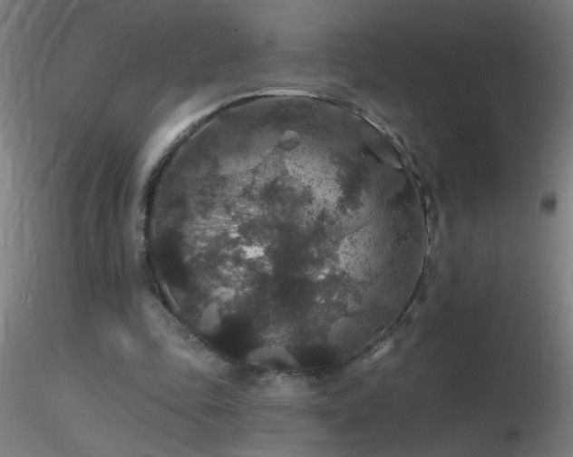 X0000116790343200912181259