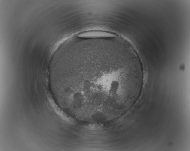 X0000116790345200912181259