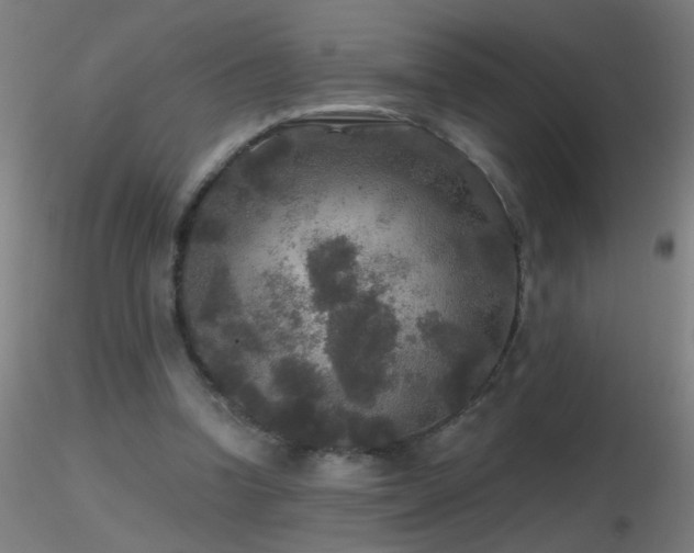 X0000116790346200912181259
