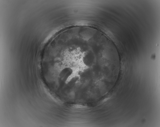 X0000116790347200912181259