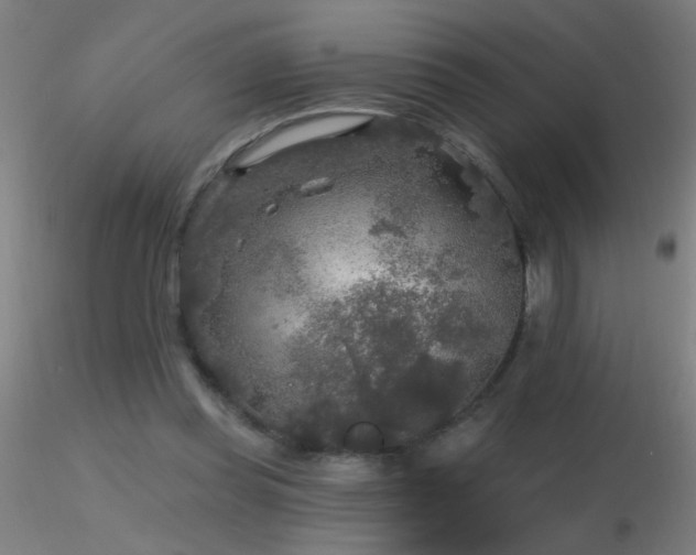 X0000116790349200912181259