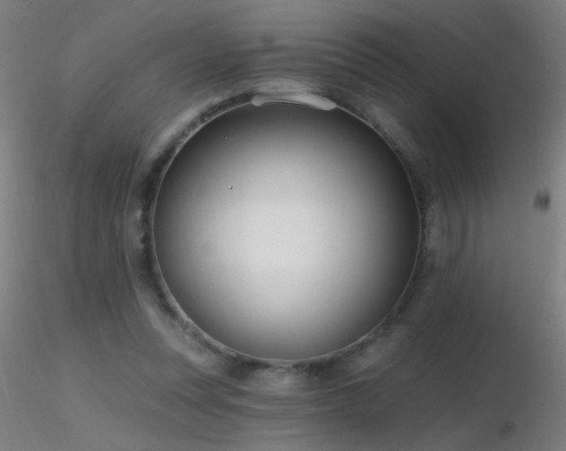 X0000116790351200912181259