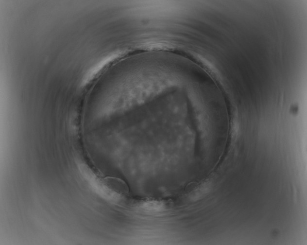 X0000116790353200912181259