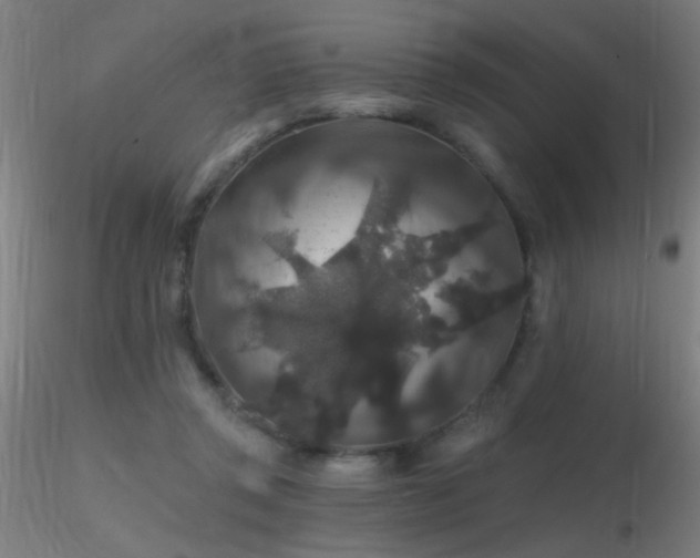 X0000116790357200912181259