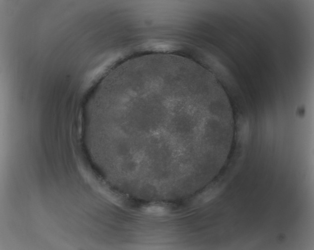 X0000116790358200912181259