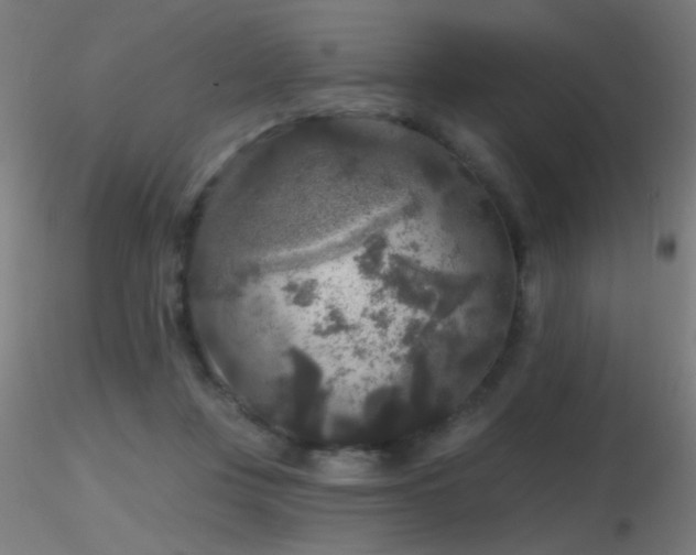 X0000116790359200912181259