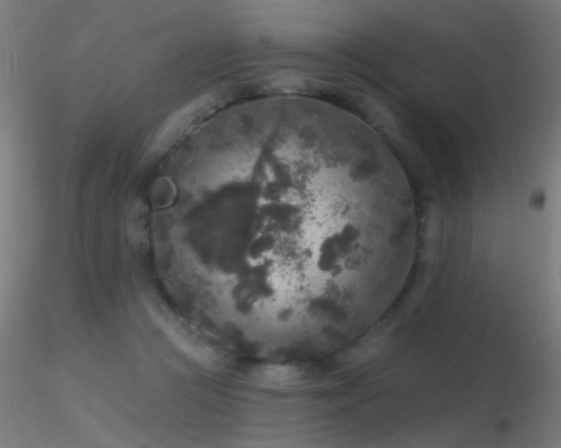 X0000116790361200912181259