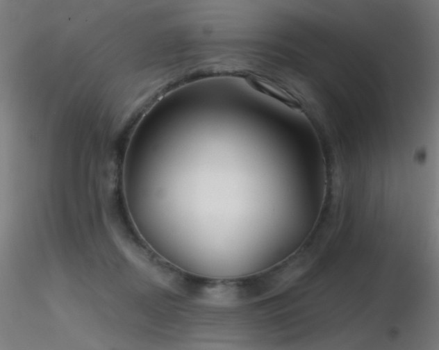 X0000116790362200912181259