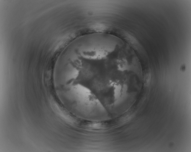 X0000116790365200912181259