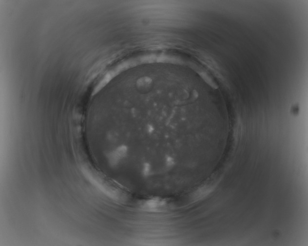 X0000116790366200912181259