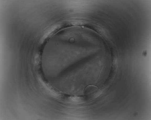 X0000116790367200912181259