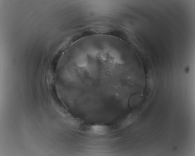 X0000116790371200912181300