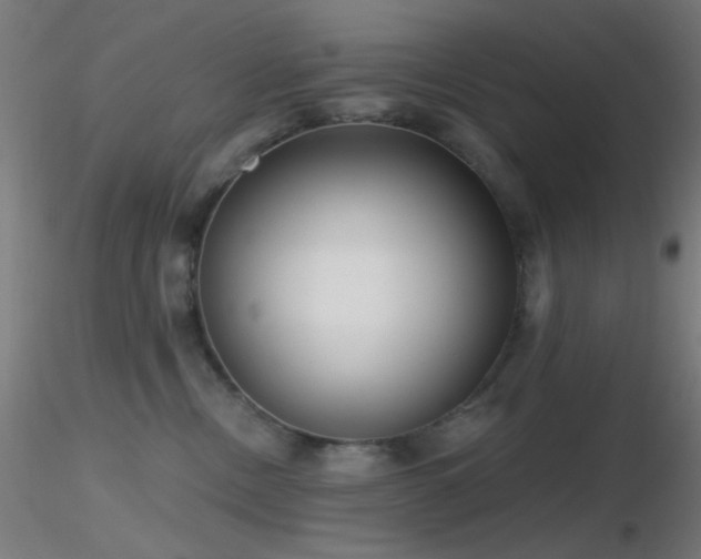 X0000116790378200912181300