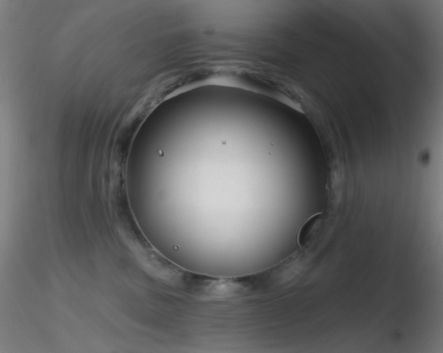 X0000116790379200912181300
