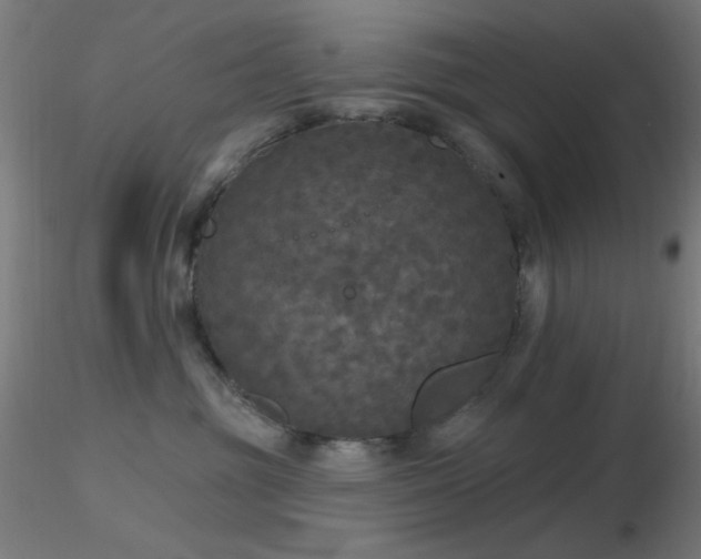 X0000116790381200912181300