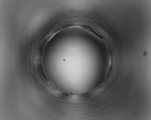 X0000116790382200912181300
