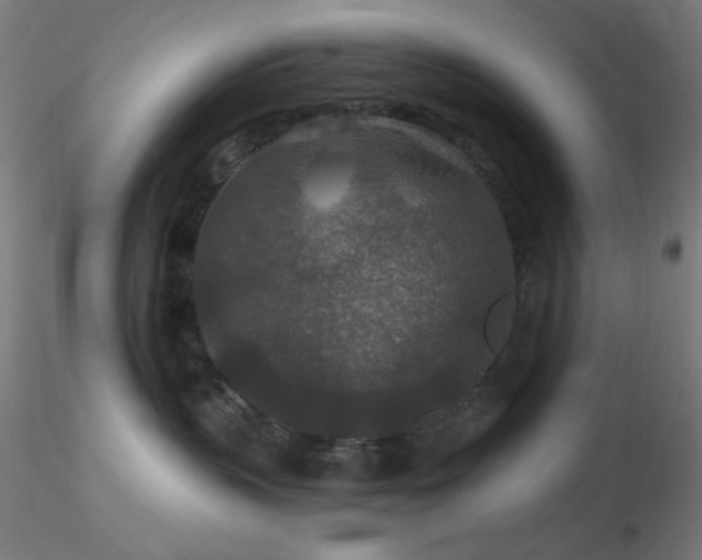 X0000116790383200912181300
