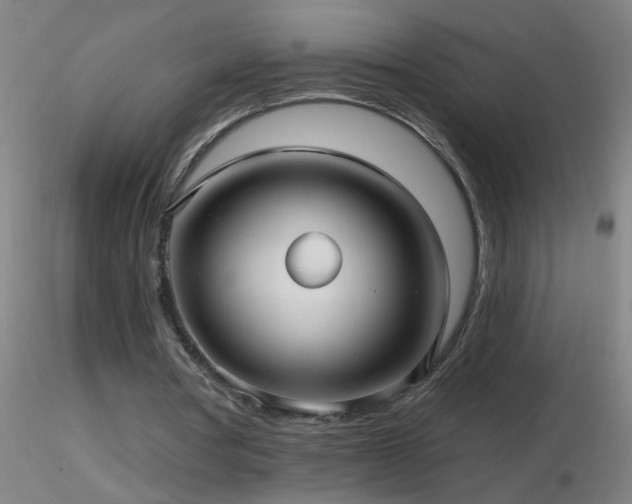 X0000116790386200912181259