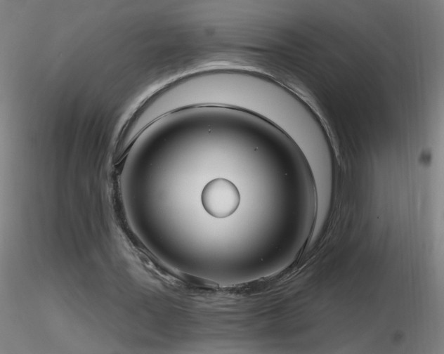 X0000116790387200912181259