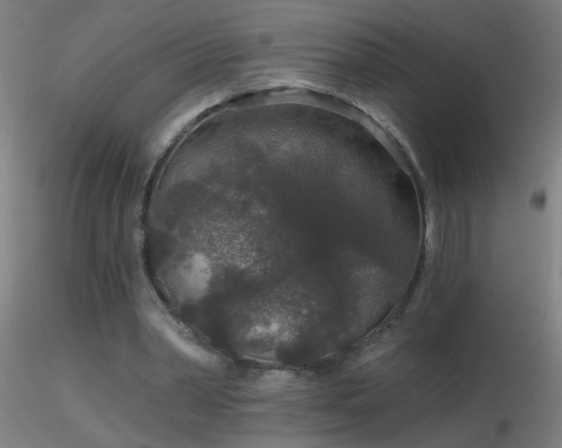 X0000116790390200912181259