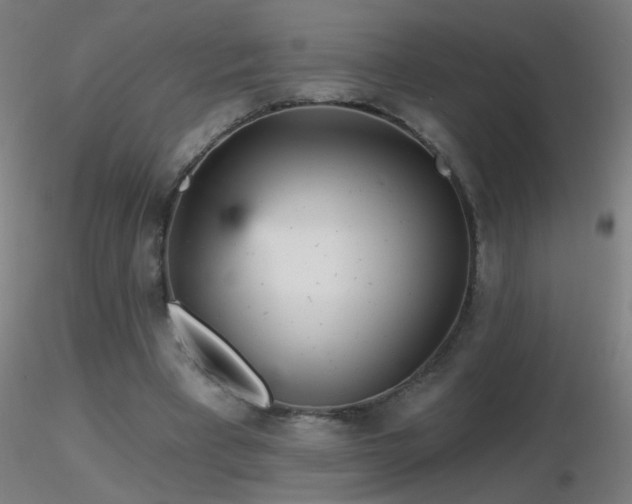 X0000116790393200912181259