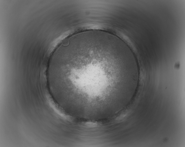 X0000116790394200912181259