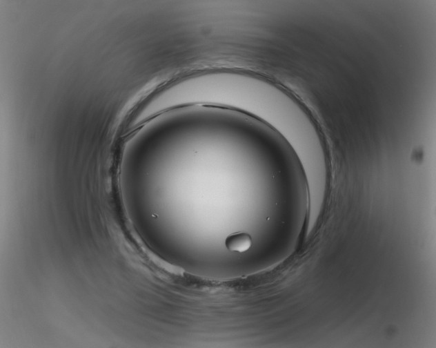 X0000116790395200912181259