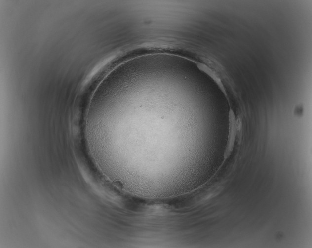X0000116790396200912181259