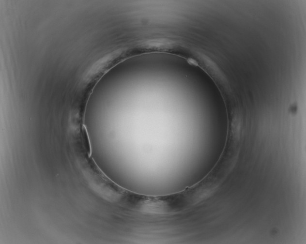 X0000116790403200912181259
