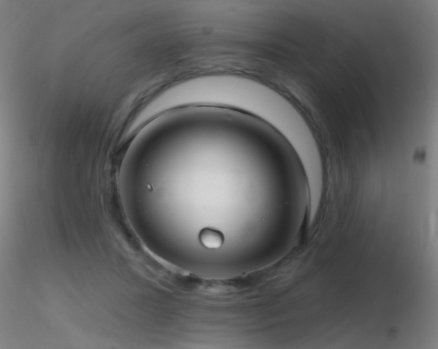 X0000116790407200912181259