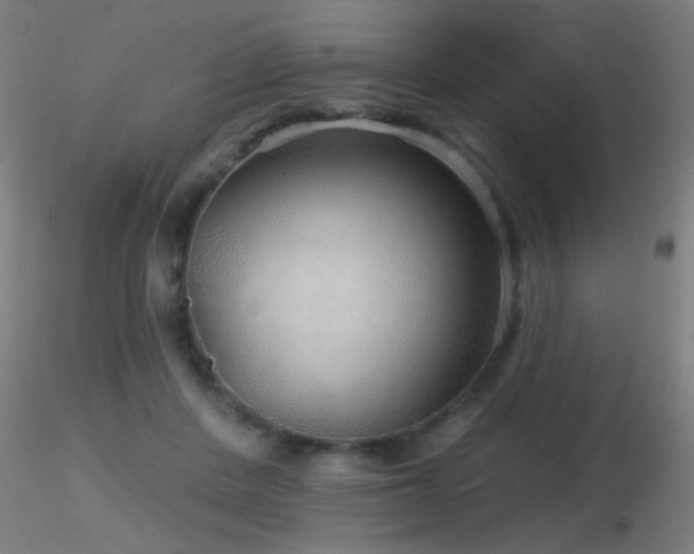 X0000116790408200912181259