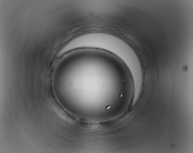 X0000116790409200912181259