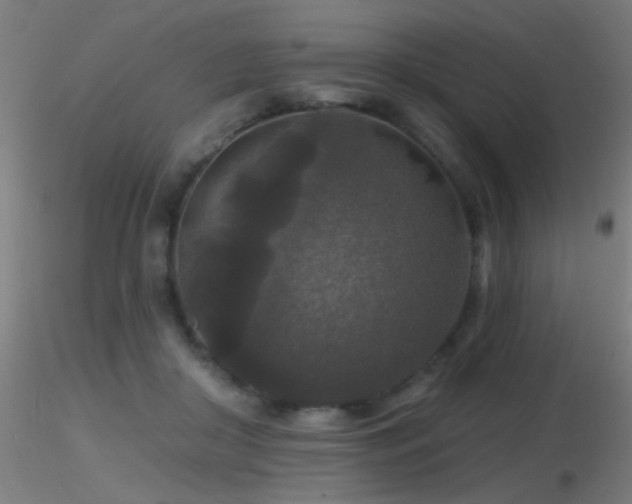 X0000116790410200912181259
