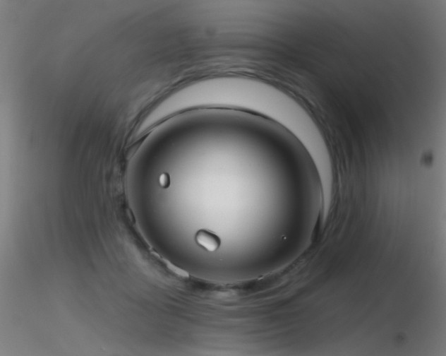 X0000116790411200912181259