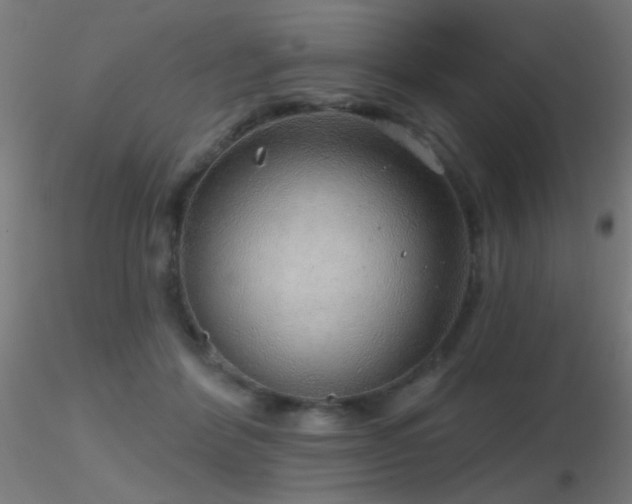 X0000116790412200912181259