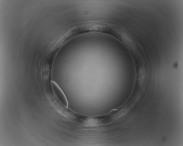 X0000116790413200912181258