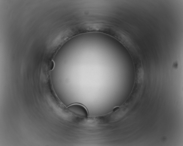 X0000116790414200912181258
