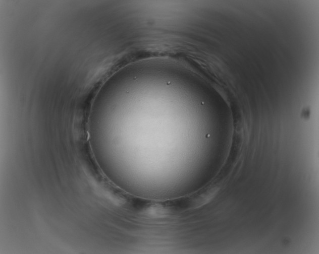 X0000116790416200912181258