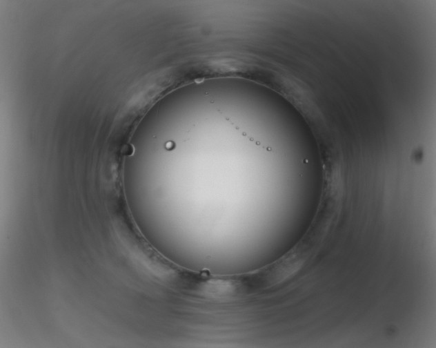 X0000116790418200912181258