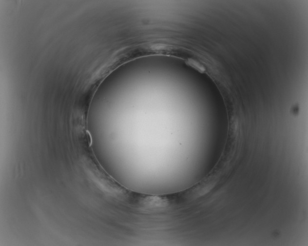 X0000116790421200912181258
