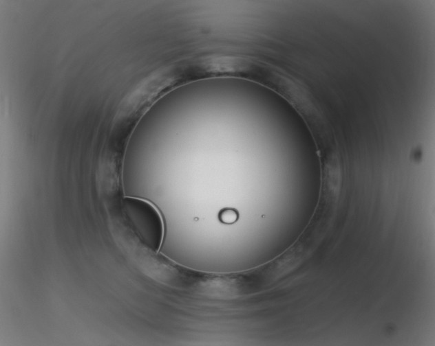 X0000116790422200912181258