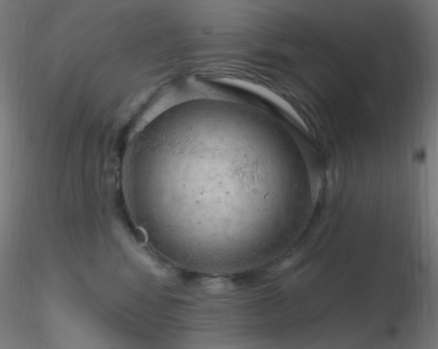 X0000116790424200912181258