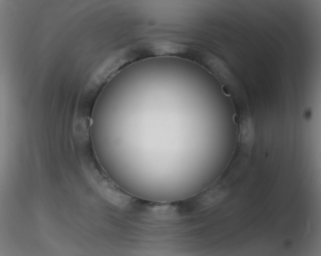 X0000116790426200912181258
