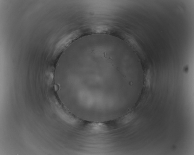 X0000116790427200912181258