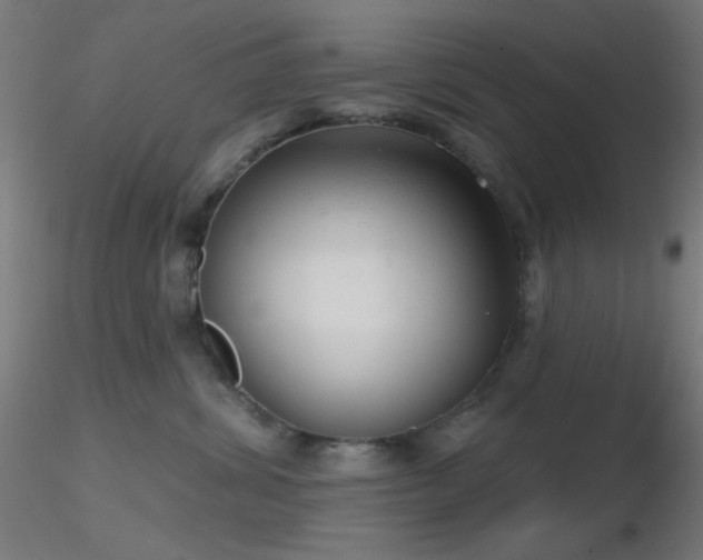 X0000116790428200912181258