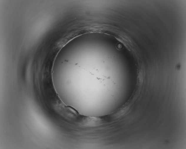 X0000116790429200912181258